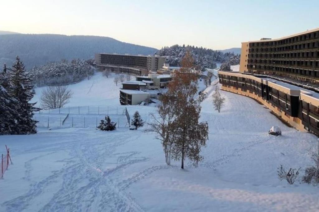 Studio Cosy Au Pied Des Pistes Villard-De-Lans 4 Pers Eksteriør bilde