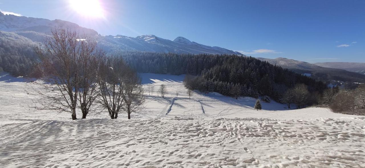 Studio Cosy Au Pied Des Pistes Villard-De-Lans 4 Pers Eksteriør bilde